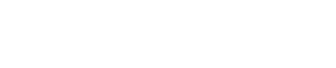 Future Telecom Wholesale Logo in White with Transparent Background
